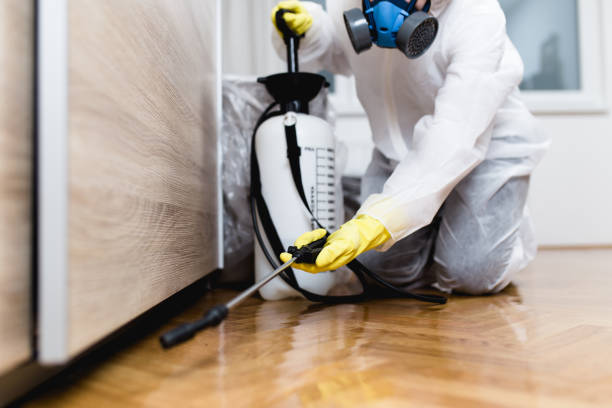 Wildlife Control Services in Social Circle, GA