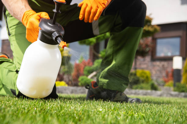 Best Emergency Pest Control  in Social Circle, GA