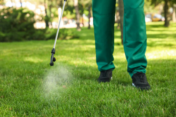 Best Wasp Removal Services  in Social Circle, GA