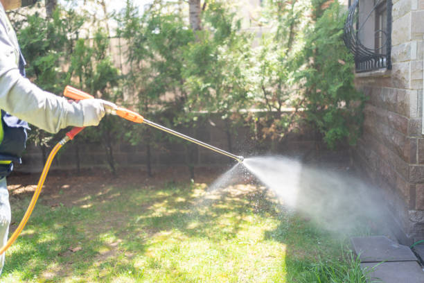 Best Mosquito Control Services  in Social Circle, GA