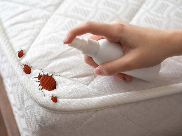 Pest Control Cost in Social Circle, GA