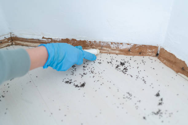 Best Pest Removal Services  in Social Circle, GA