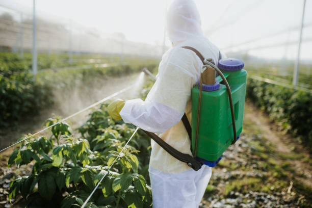 Best Pest Control Cost  in Social Circle, GA